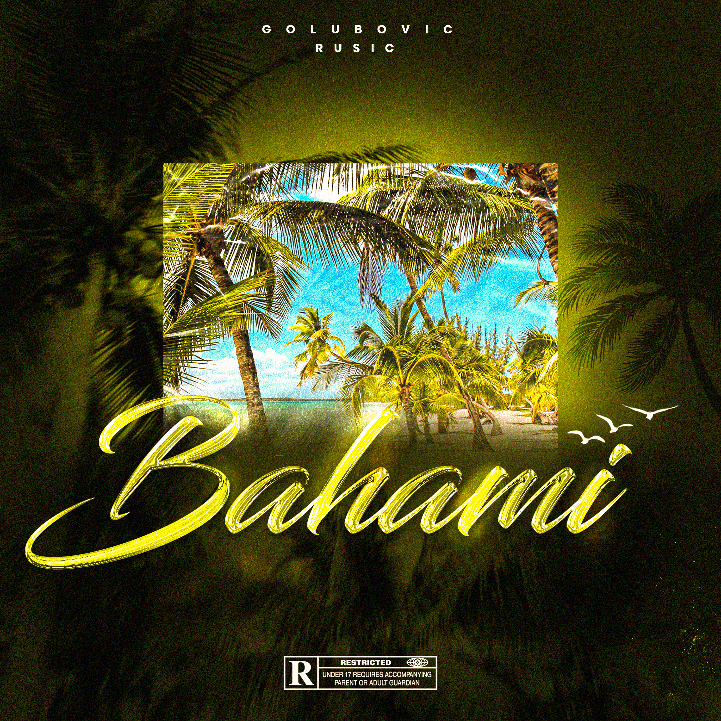 Golubovic - Music Cover Art